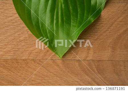 Green Leaves Hosts of the roadway shot close-up on the background of a wooden board 136871191