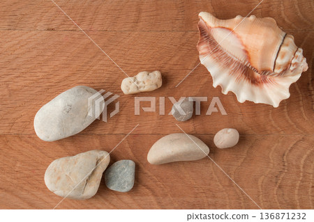 Smooth stones of various sizes and shells are scattered on the wood board 136871232