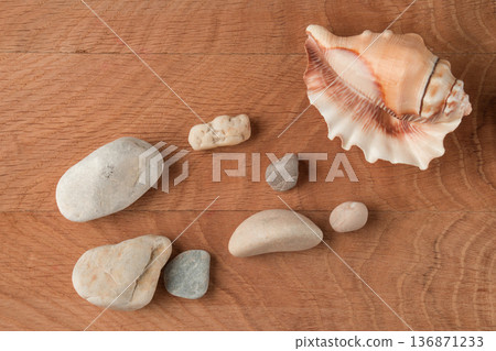 Smooth stones of various sizes and shells are scattered on the wood board Smooth stones of various sizes and shells are scattered on the wood board 136871233