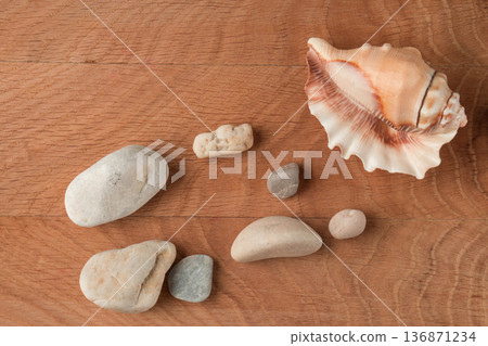 Smooth stones of various sizes and shells are scattered on the wood board 136871234