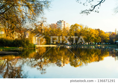 landscape, lakes park in autumn, which reflects part of the park landscape, lakes park in autumn, which reflects part of the park 136871291