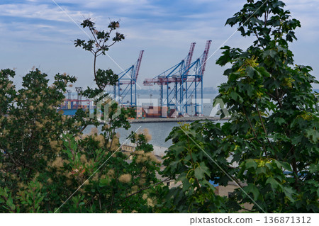 Seaport area, large cranes and stacked shipping containers against the backdrop of the sea Seaport area, large cranes and stacked shipping containers against the backdrop of the sea 136871312