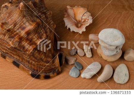 Seashells and a bunch of sea stones on a wooden board 136871333