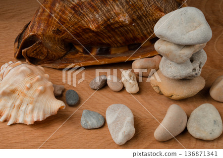 Seashells and a bunch of sea stones on a wooden board 136871341