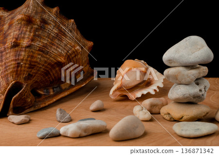 Seashells and stones, on a blackboard on a black background Seashells and stones, on a blackboard on a black background 136871342