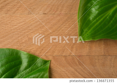 Green Leaves Hosts of the roadway shot close-up on the background of a wooden board Green Leaves Hosts of the roadway shot close-up on the background of a wooden board 136871355