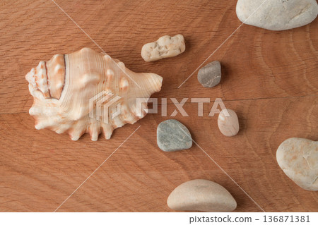 Smooth stones of various sizes and shells are scattered on the wood board Smooth stones of various sizes and shells are scattered on the wood board 136871381