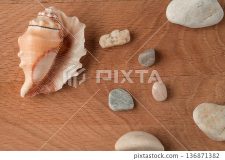 Smooth stones of various sizes and shells are scattered on the wood board Smooth stones of various sizes and shells are scattered on the wood board 136871382