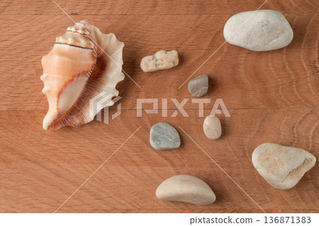 Smooth stones of various sizes and shells are scattered on the wood board 136871383