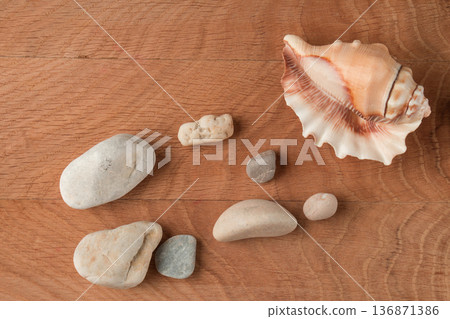 Smooth stones of various sizes and shells are scattered on the wood board Smooth stones of various sizes and shells are scattered on the wood board 136871386