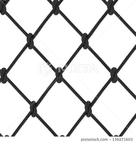 mesh of black braided rope isolated on white background 136871603