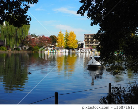 Shakujii公園 Shakujii公園 136871613