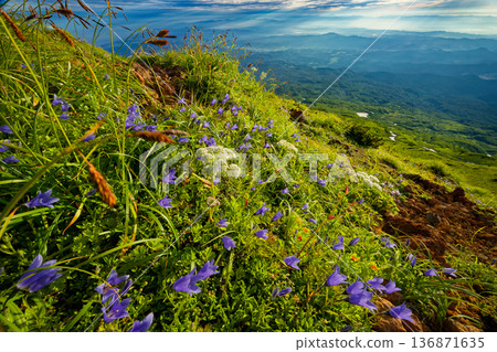 鳥海山和七座高山,以及它們的鳶尾花和晨霧 鳥海山和七座高山,以及它們的鳶尾花和晨霧 136871635