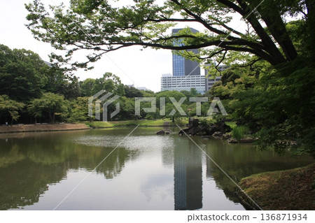 小石川後樂園與建築物 小石川後樂園與建築物 136871934