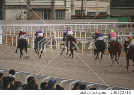 Horses and riders running down the straight at Kasamatsu Racecourse Horses and riders running down the straight at Kasamatsu Racecourse 136872718