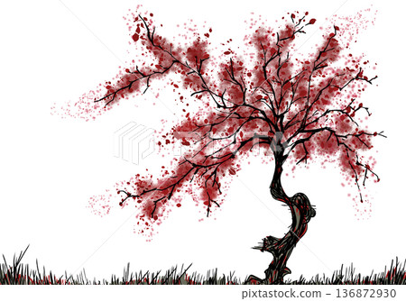 Red Sakura Red Sakura 136872930