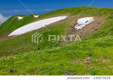 The ridgeline and alpine plant communities in the direction of Mt. Chokai and Mt. Shogatake 136873019
