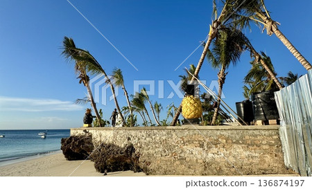 A sunny daytime coastal landscape with palm trees and a beach scene taken from the side. Background material for tourism. A sunny daytime coastal landscape with palm trees and a beach scene taken from the side. Background material for tourism. 136874197
