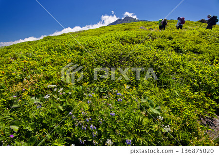 登山客沿著鳥海嶽山脊行走，遠眺神山山頂峰。 136875020