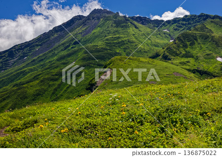 從鳥海岳女長原附近眺望雲霧繚繞的真山頂。 136875022