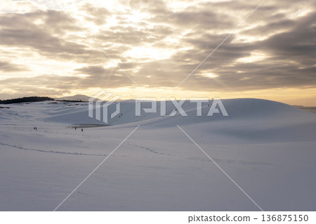 Tottori Sand Dunes: Snow-covered scenery dyed in the setting sun Tottori Sand Dunes: Snow-covered scenery dyed in the setting sun 136875150