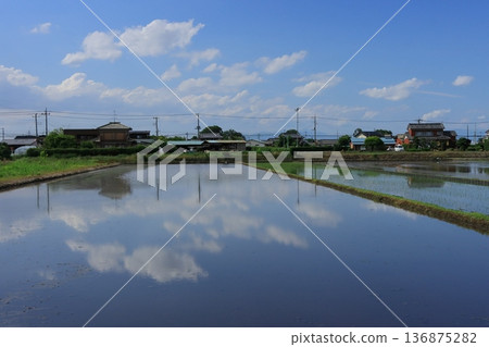被水淹沒的稻田中倒映的天空 136875282