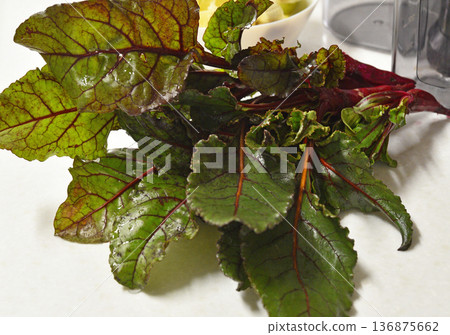 Fresh organic beetroot leaves. Fresh organic beetroot leaves. 136875662