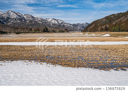 滋賀縣高島市牧野町早春鄉村景色 136875829
