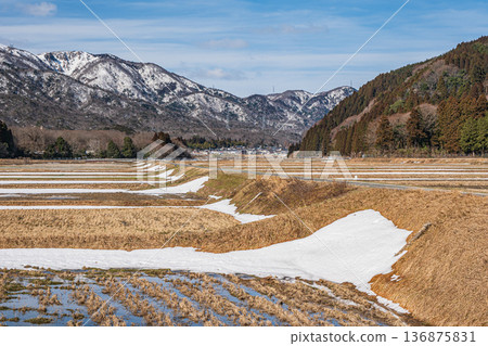 Rural scenery of Makino Town in early spring, Takashima City, Shiga Prefecture Rural scenery of Makino Town in early spring, Takashima City, Shiga Prefecture 136875831