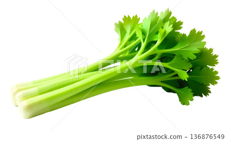Vibrant celery against a transparent backdrop, promoting wellness and nutritious eating for National Celery Month 136876549