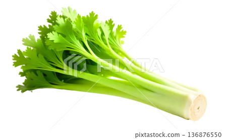 Crisp celery on a transparent background, symbolizing healthy snacks and clean eating during National Celery Month celebrations 136876550
