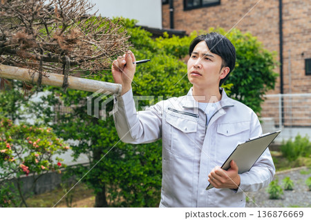 男工人檢查花園樹木 136876669
