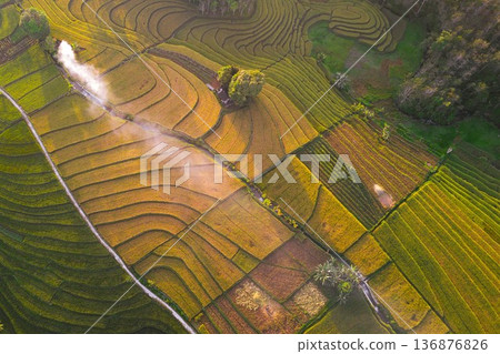 Beautiful morning view indonesia Panorama Landscape paddy fields Beautiful morning view indonesia Panorama Landscape paddy fields 136876826