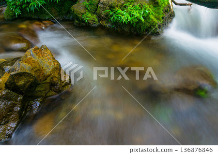 Beautiful morning view indonesia Panorama Landscape paddy fields 136876846