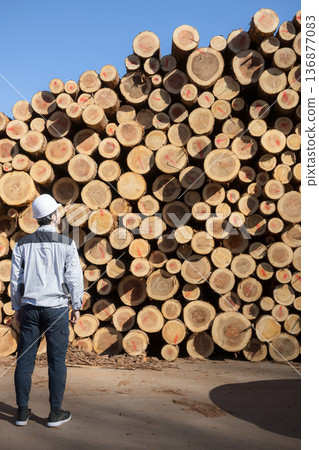 一名戴著安全帽、沒有臉孔的男子站在建築工地上，背景是原木和木製建築材料。 136877083