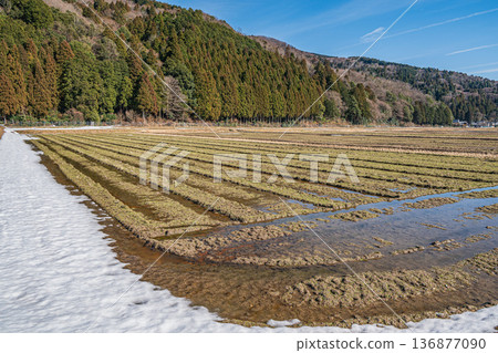 滋賀縣高島市牧野町早春鄉村景色 136877090