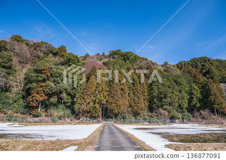 Rural scenery of Makino Town in early spring, Takashima City, Shiga Prefecture Rural scenery of Makino Town in early spring, Takashima City, Shiga Prefecture 136877091