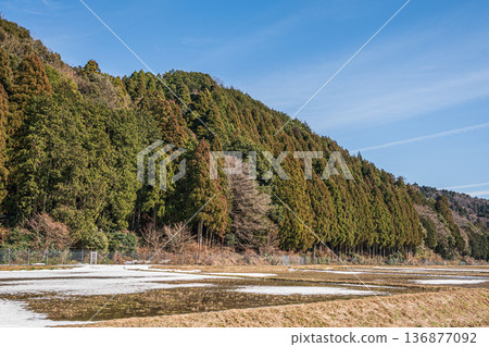 滋賀縣高島市牧野町早春鄉村景色 136877092