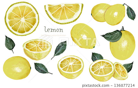 Fresh lemon watercolor set Fresh lemon watercolor set 136877214