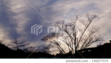 Midwinter Mountain, the Summit of Loneliness Midwinter Mountain, the Summit of Loneliness 136877375