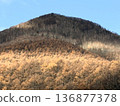 Late autumn and weak sun in Tsumagoi 136877378