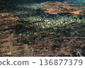 The source of winter 136877379