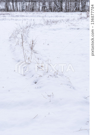 覆蓋著白雪的冬日稻田小徑和銀裝素裹的鄉村景色 覆蓋著白雪的冬日稻田小徑和銀裝素裹的鄉村景色 136877784