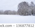 銀白色的世界鋪展在白雪皚皚的田野和覆蓋著積雪的冬日森林上。 136877812
