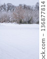 冬日森林景色，一棵枯樹孤零零地矗立在白雪皚皚的田野中。 136877814