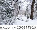 穿過白雪皚皚的森林和冬日樹木的土路上，佈滿了車轍。 136877819