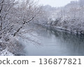 冬天，雪花輕輕飄落在河岸邊，樹木也被白雪覆蓋。 136877821