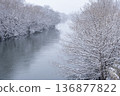 冬天，雪花輕輕飄落在河岸邊，樹木也被白雪覆蓋。 136877822