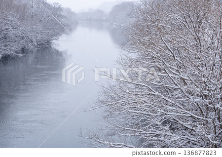 Snow falls gently on the riverside in winter, and trees are covered in snow. Snow falls gently on the riverside in winter, and trees are covered in snow. 136877823