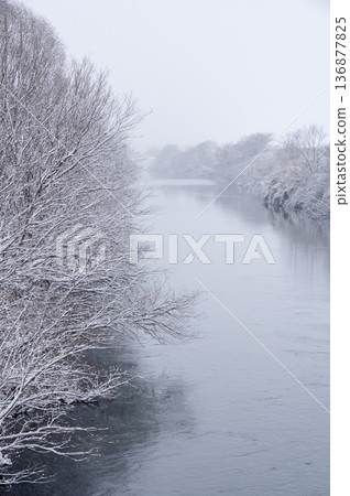 Snow falls gently on the riverside in winter, and trees are covered in snow. Snow falls gently on the riverside in winter, and trees are covered in snow. 136877825